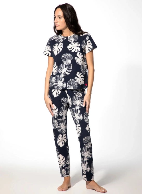 short stories short stories leafs  broek