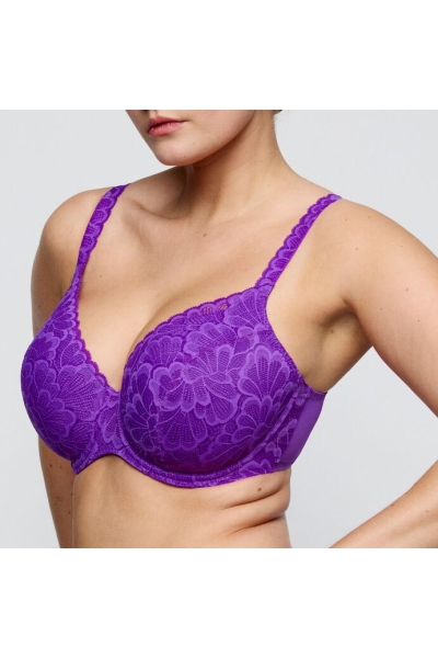 Twist by Prima Donna