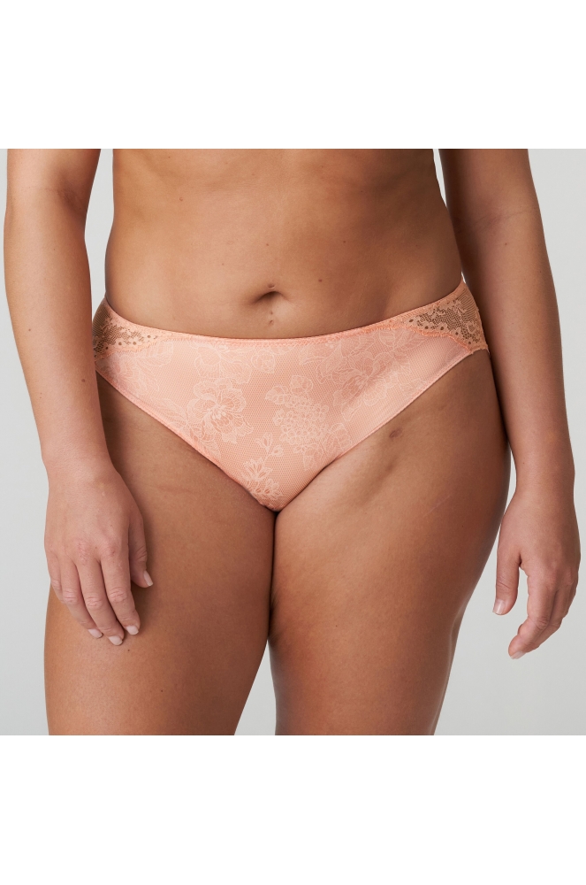 Twist by Prima Donna